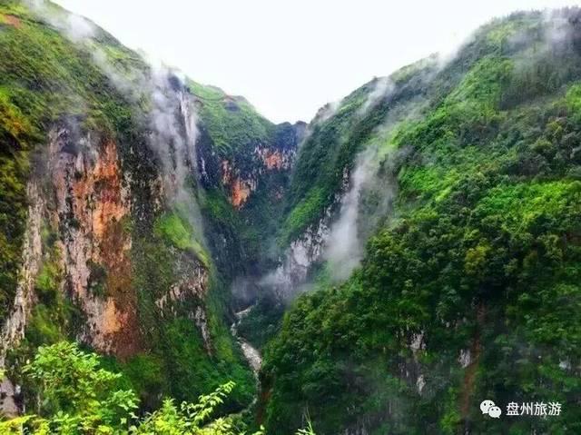 组装机械恐龙3